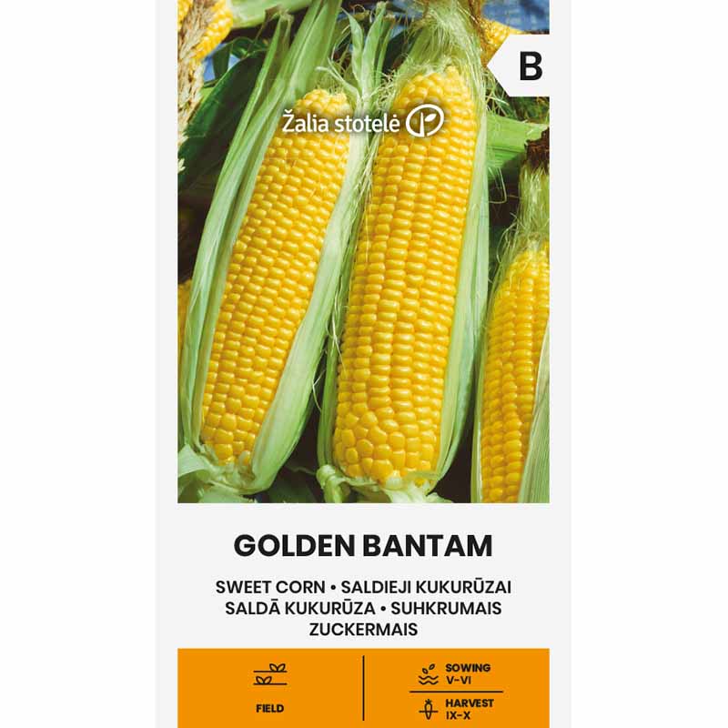 Sweet Corn 'Golden Bantam'