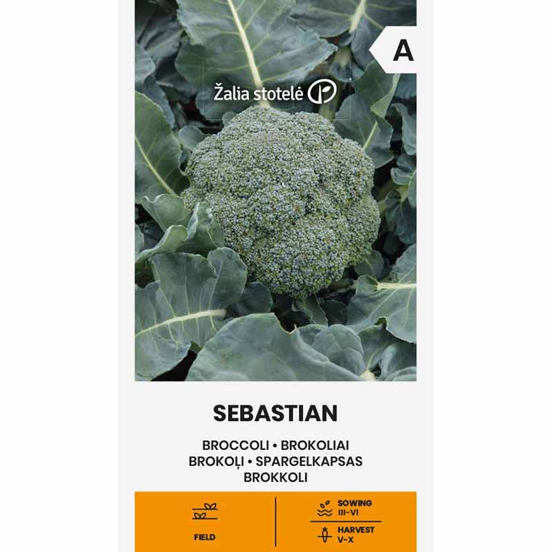 Broccoli 'Sebastian'