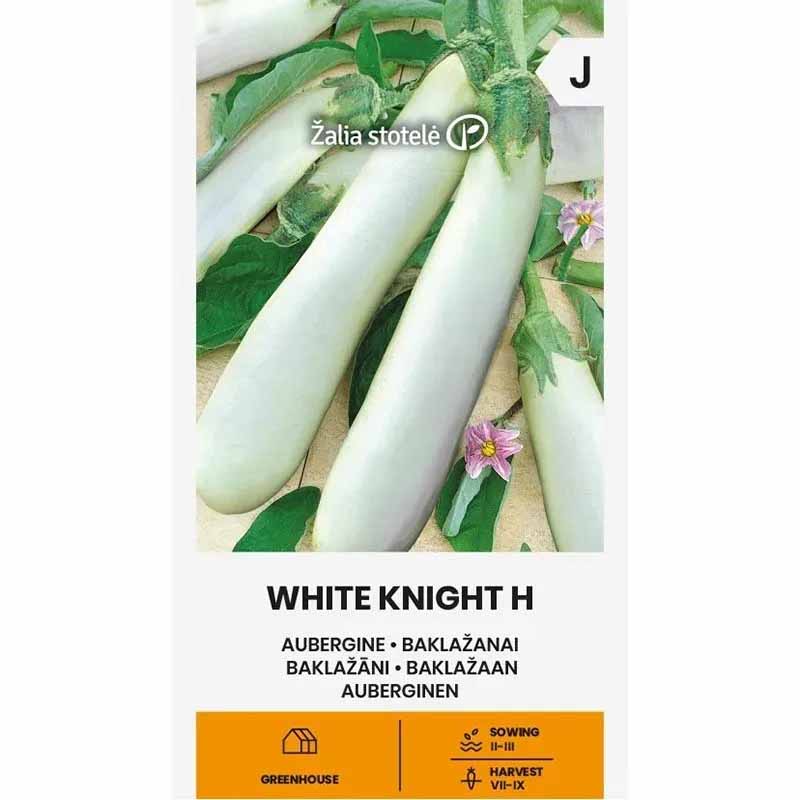 Eggplant 'White knight' H