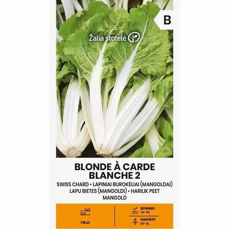 Swiss Chard 'Blond en carde blanche 2'