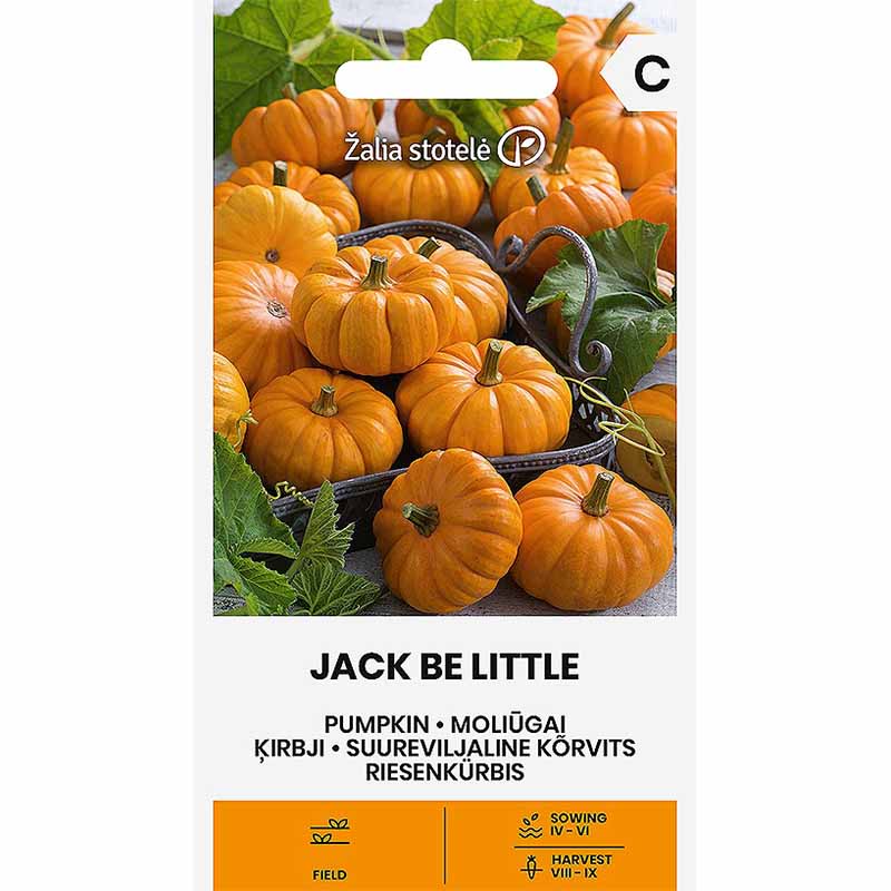 Pumpkin 'Jack Be Little'