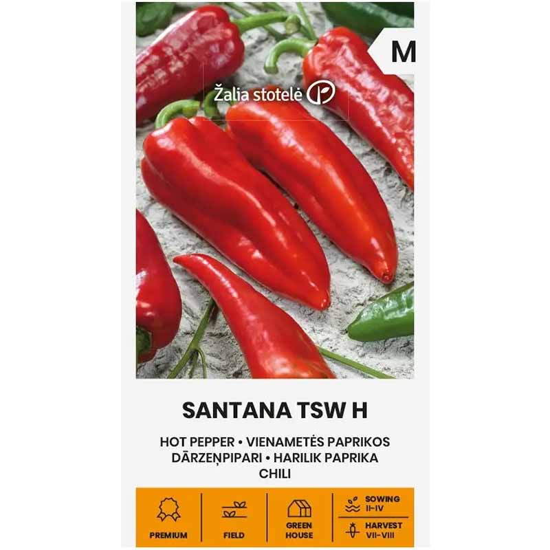 Chili 'Santana TSW' H
