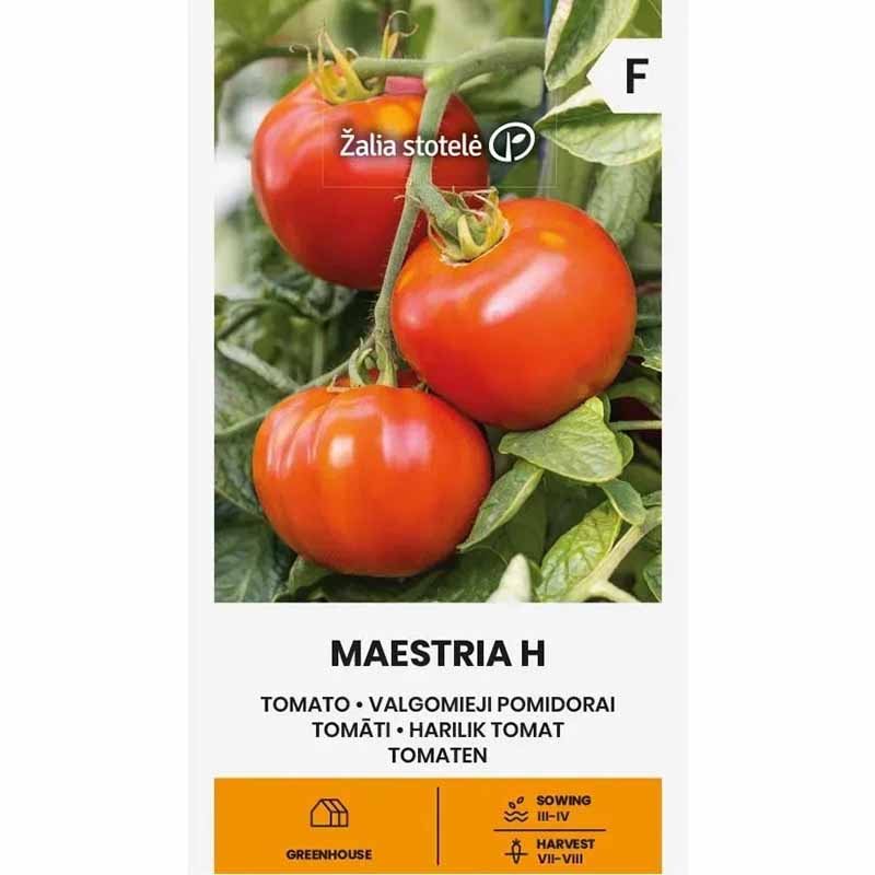 Tomato 'Maestria' H