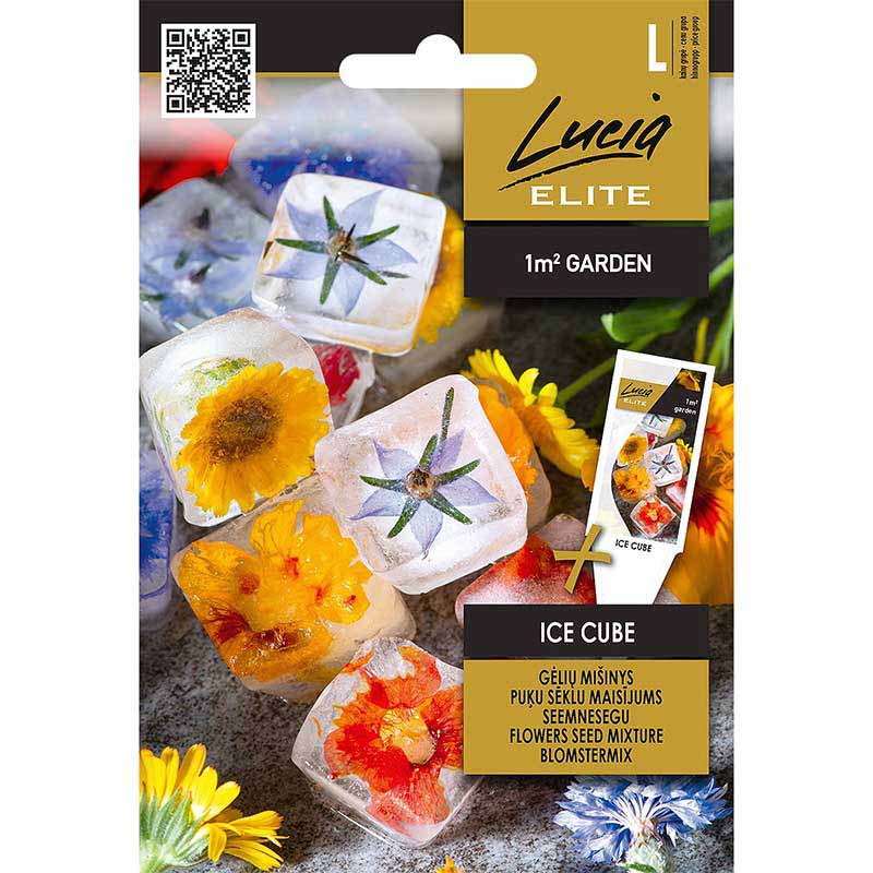 Flower Mix 'Ice Cube'