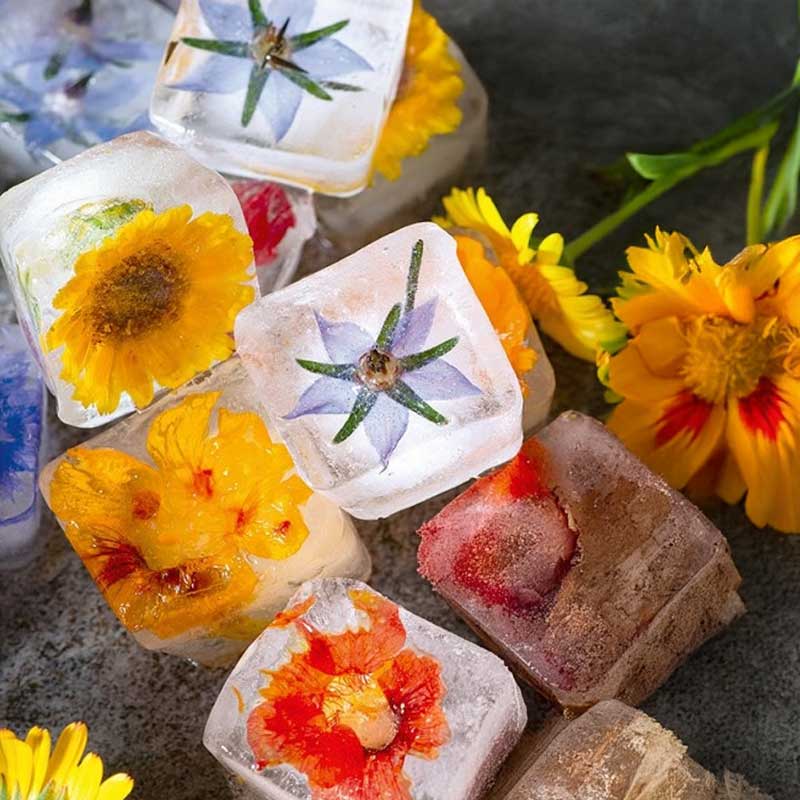 Flower Mix 'Ice Cube'