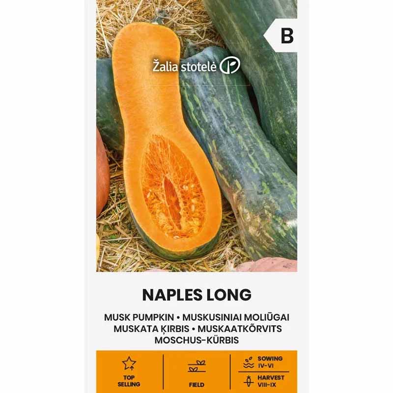 Butternut Squash 'Naples Long'