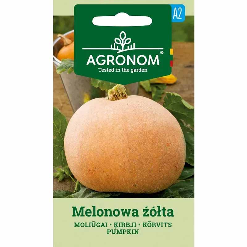 Pumpkin 'Melonova Zolta'