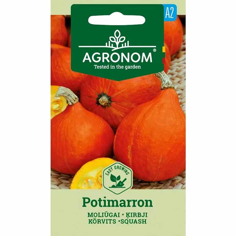 Pumpkin 'Potimarron'