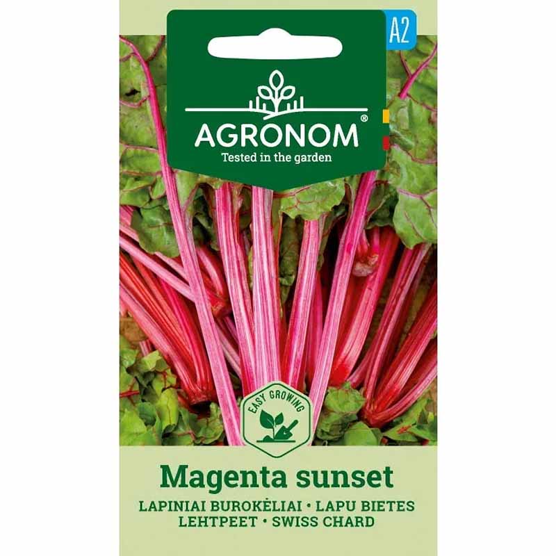 Swiss Chard 'Magenta Sunset'