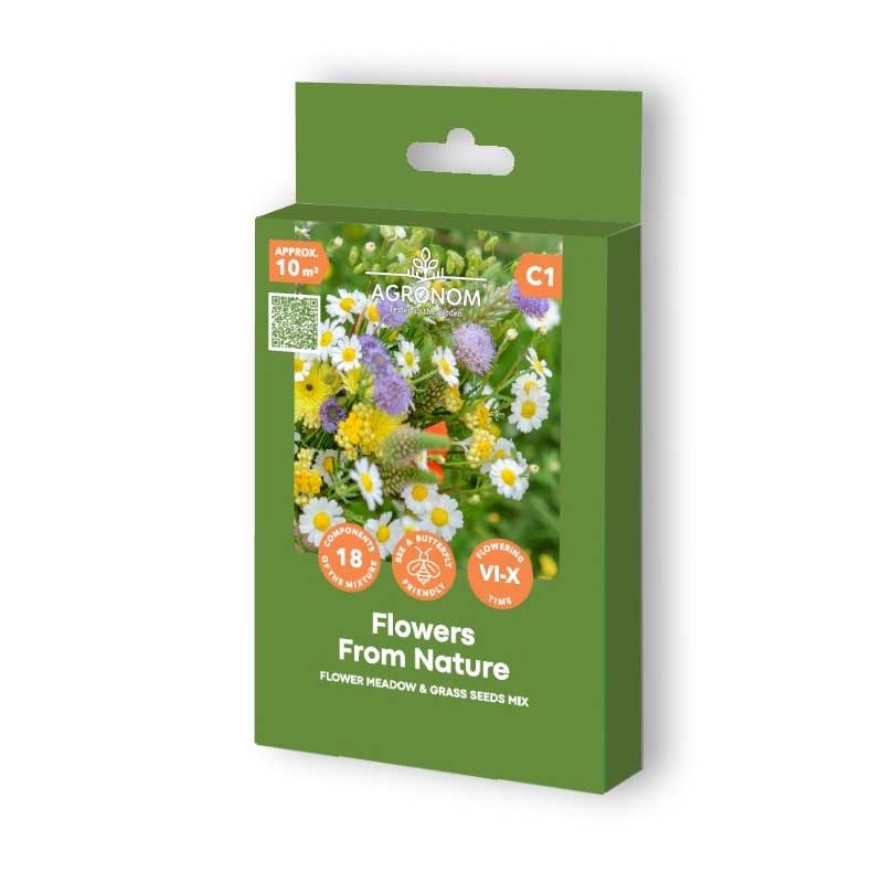 Flower Meadow & Wild Grass 'Flowers from Nature'