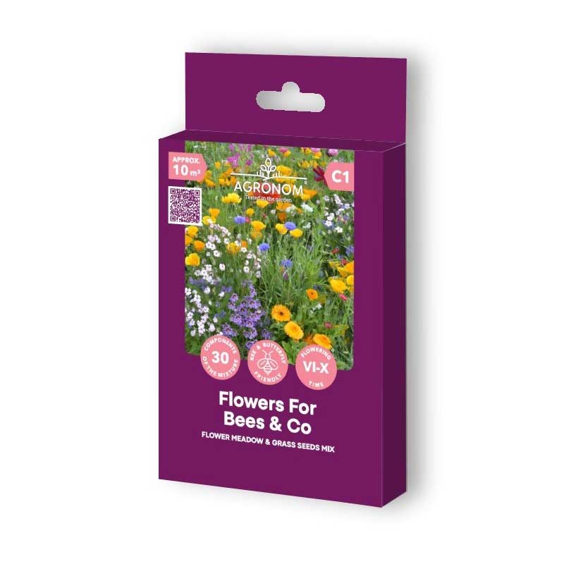 Flower Meadow & Wild Grass Flowers for Bees