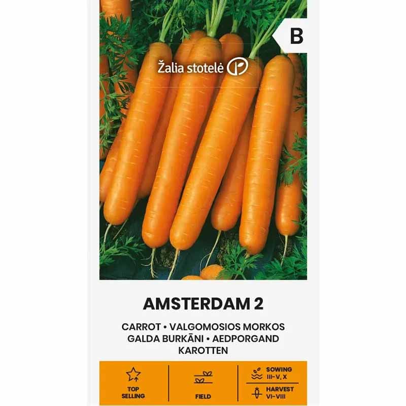 Carrot 'Amsterdam 2'