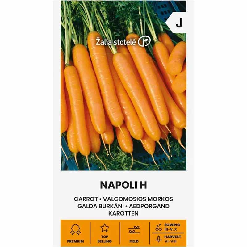 Carrot 'Napoli' H