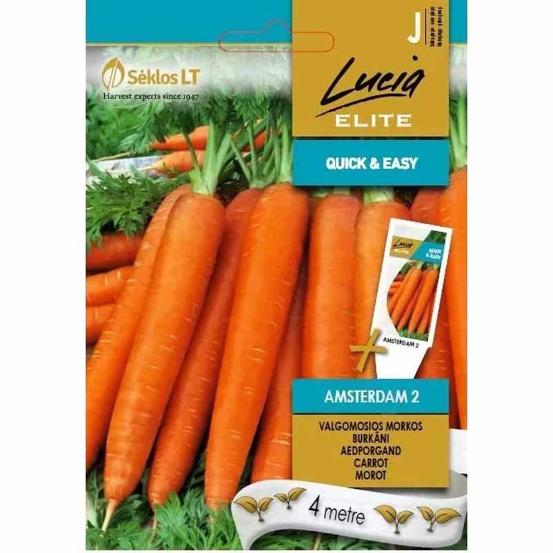 Carrot 'Amsterdam 2'