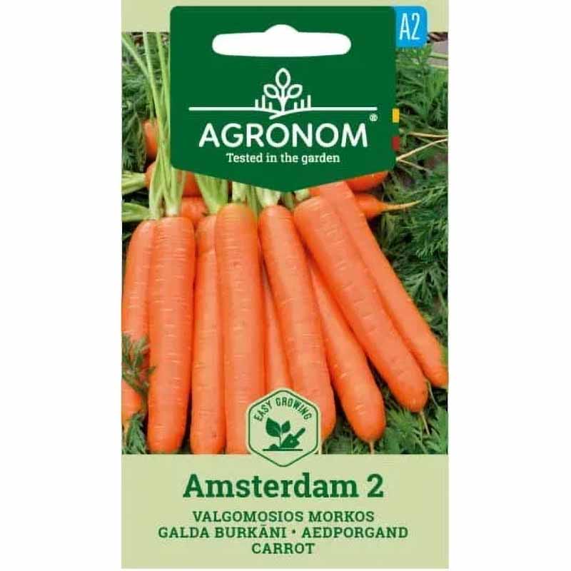 Carrot 'Amsterdam 2'