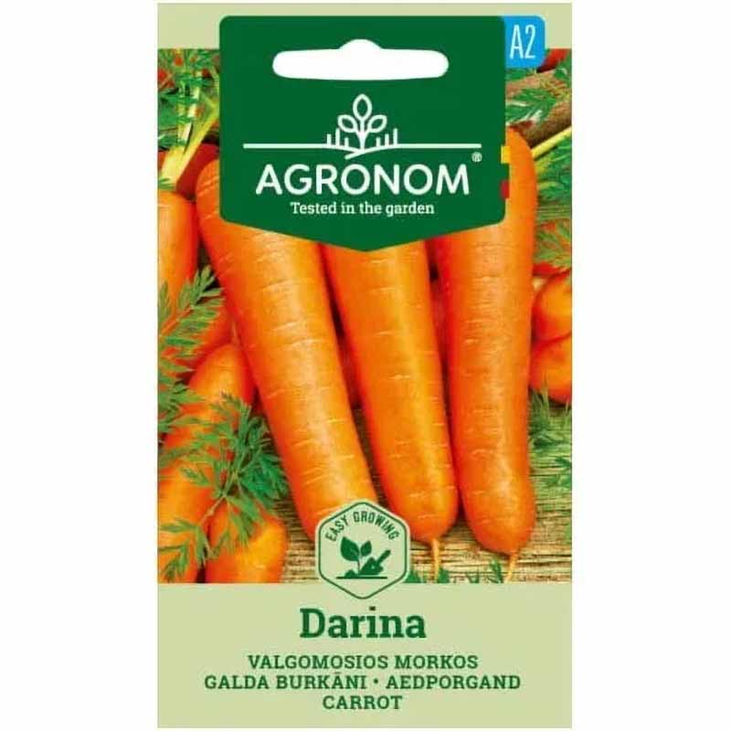 Carrot 'Darina'