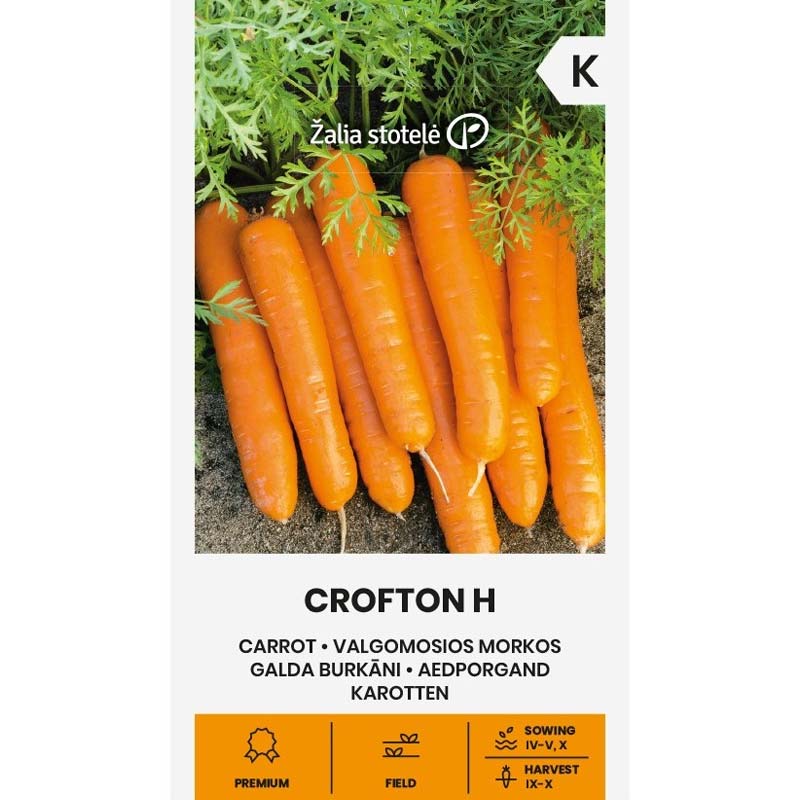 Carrot 'Crofton' H