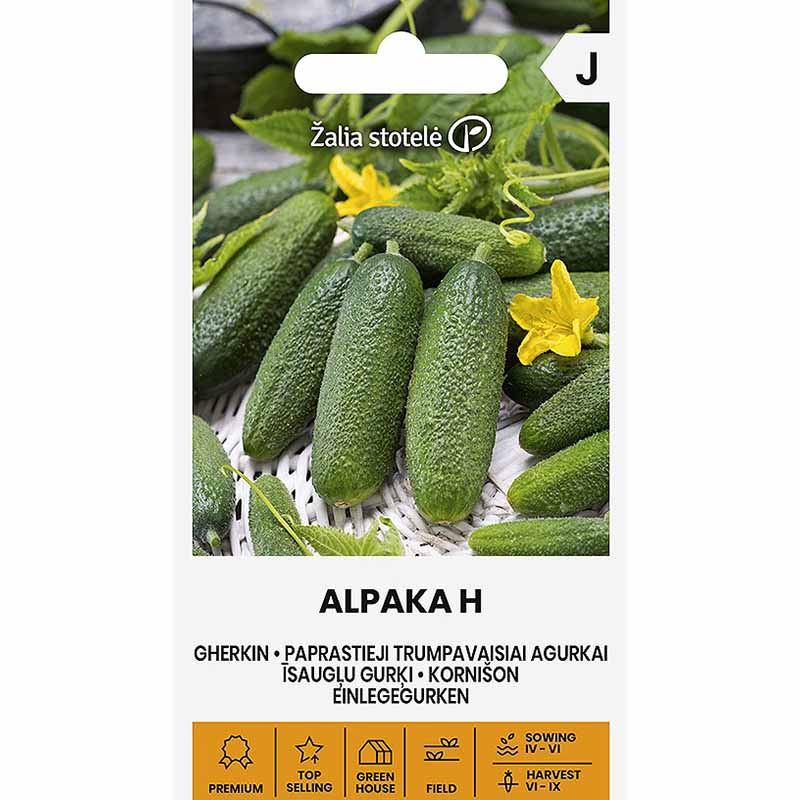 Cucumber 'Alpaka'
