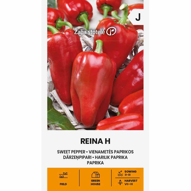 Sweet Pepper 'Reina' H