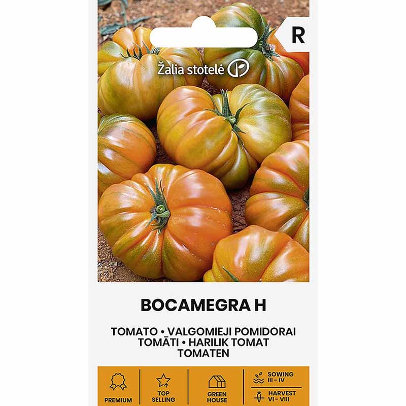 Tomato 'Bocamegra' H