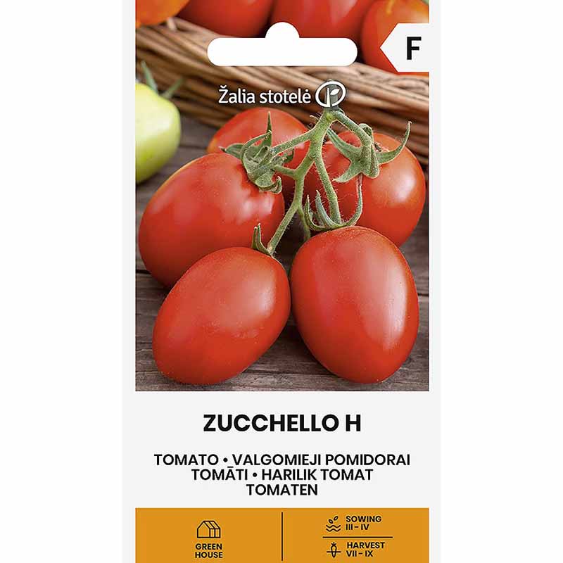 Tomato 'Zucchello' H