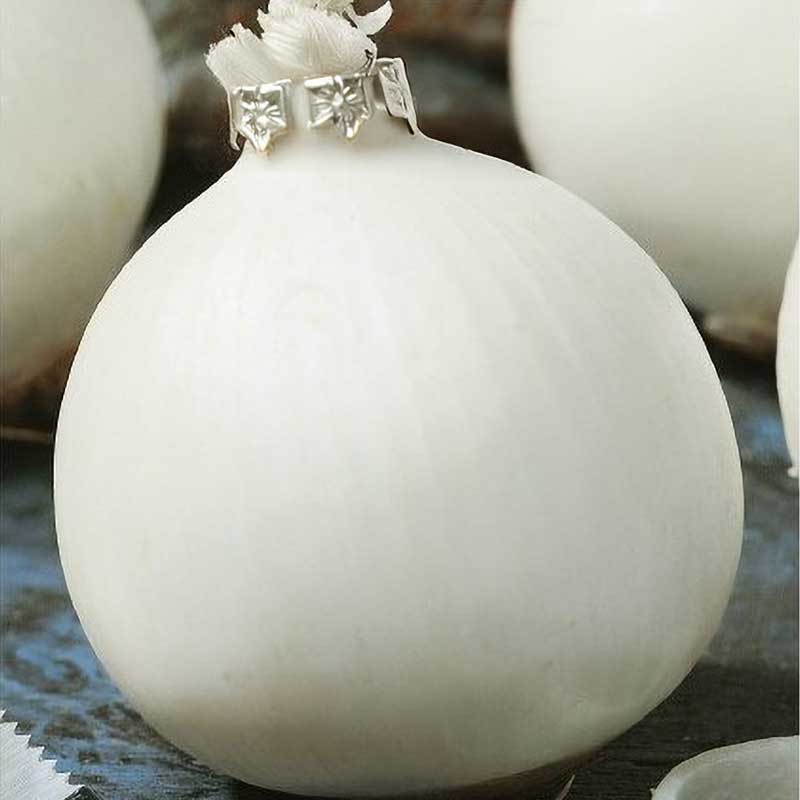 Onion 'White Magic' H