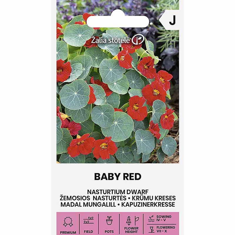 Dwarf Nasturtium 'Baby Red'