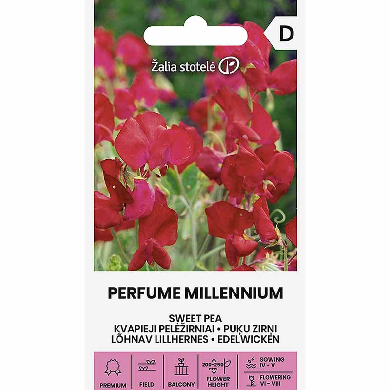 Sweet Pea 'Perfume Millennium'