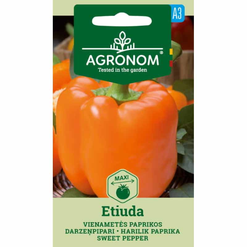 Pepper 'Etiuda'