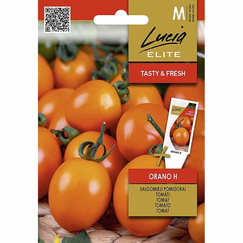 Tomato 'Orano' H