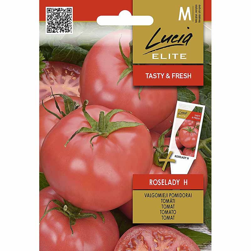 Tomato 'Roselady' H