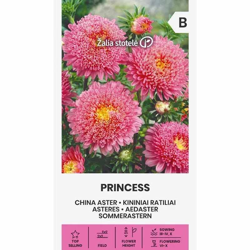 China Aster 'Princess' Pink