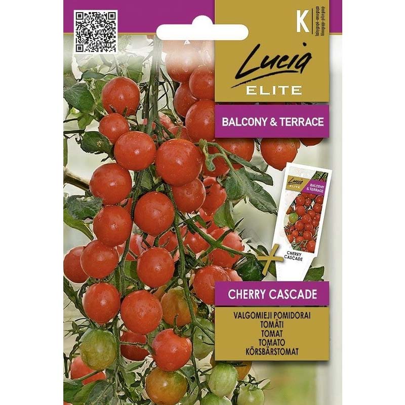 Cherry Tomato 'Cherry Cascade'