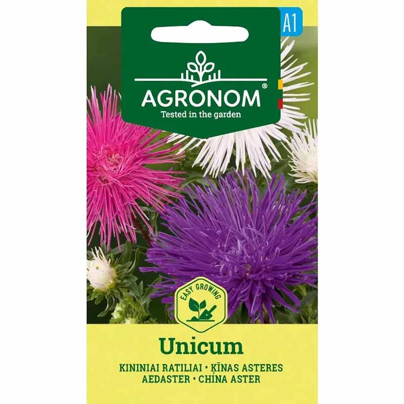 Annual Aster 'Unicum Pink'