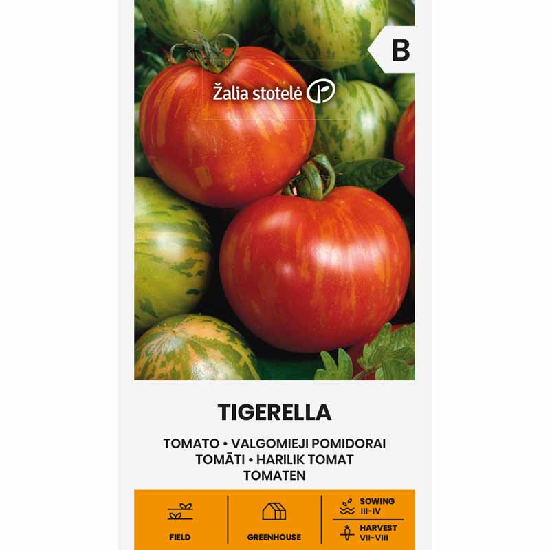 Tomato 'Tigerella'