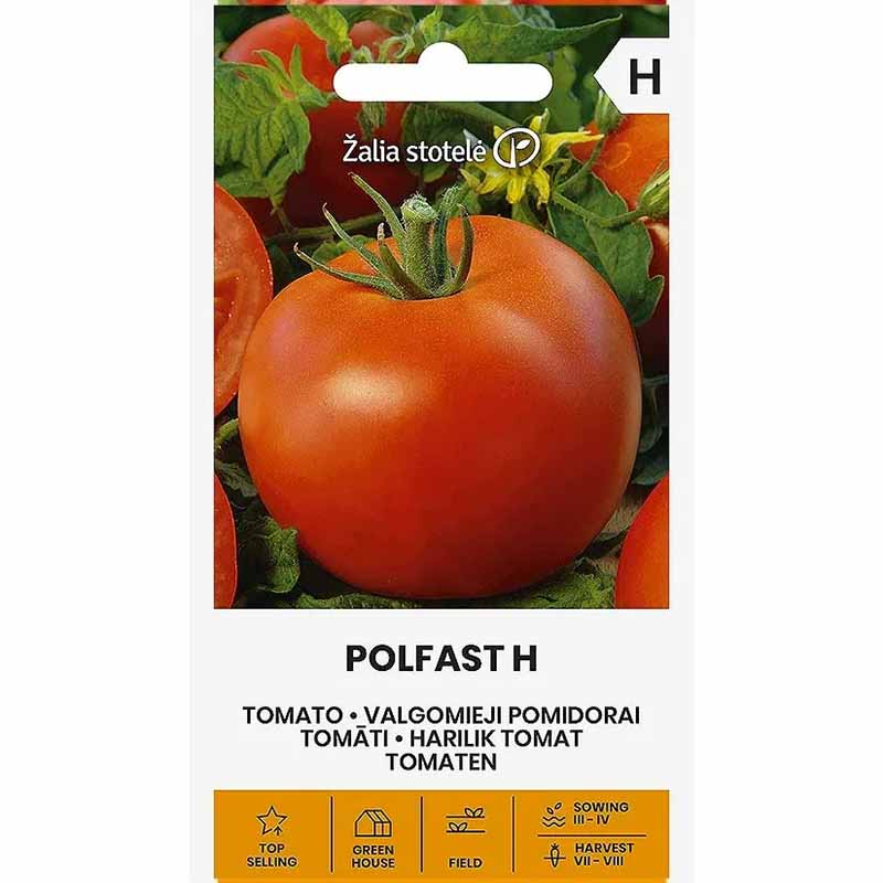 Tomato 'Polfast' H