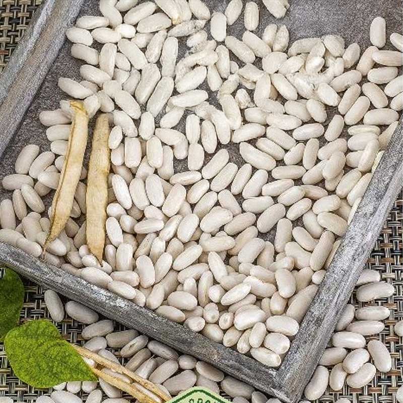 Cooking Bean 'Igołomska'