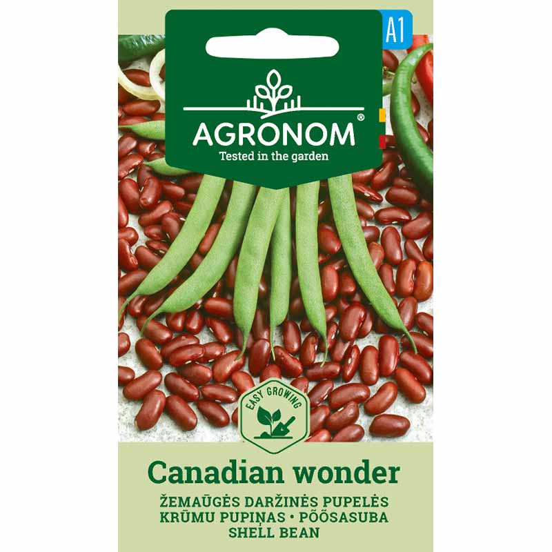 Kidney Bean 'Canadian Wonder'