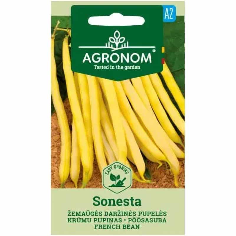 Wax Bean 'Sonesta'