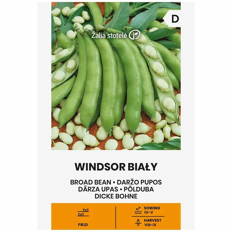Broad Bean 'Windsor bialy'