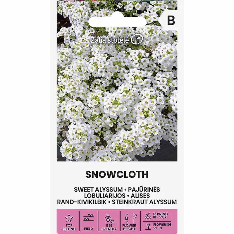 Sweet Alyssum 'Snowcloth'