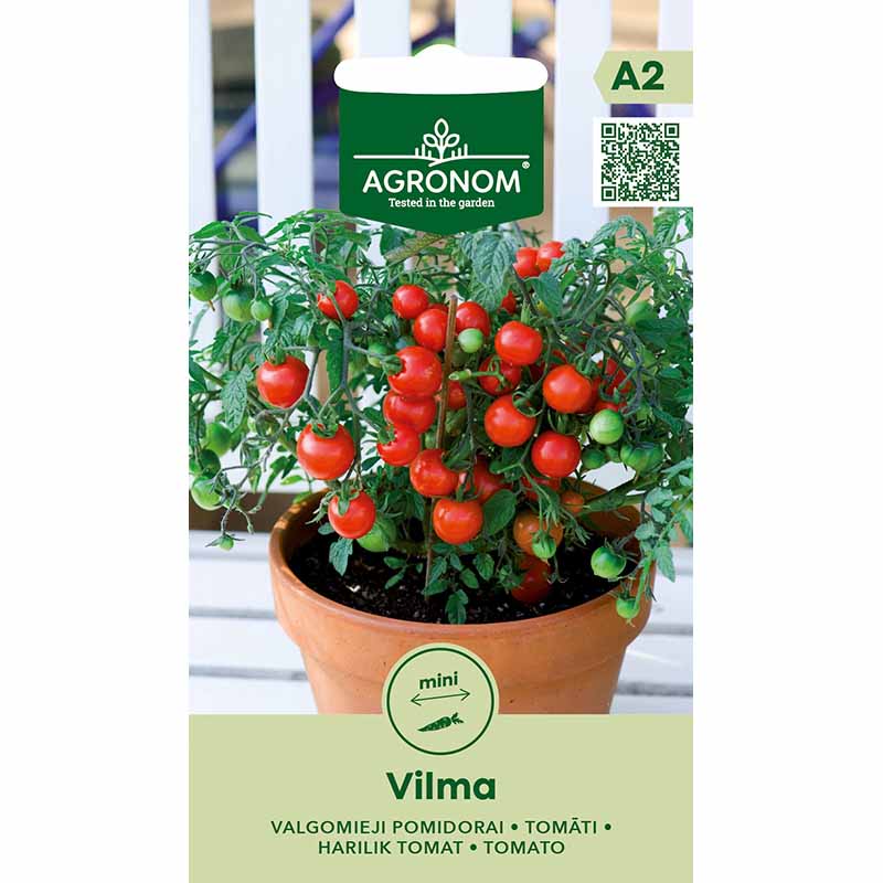 Bush Tomato 'Vilma'