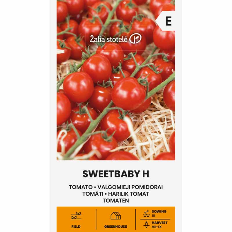 Cherry Tomato 'Sweetbaby' H