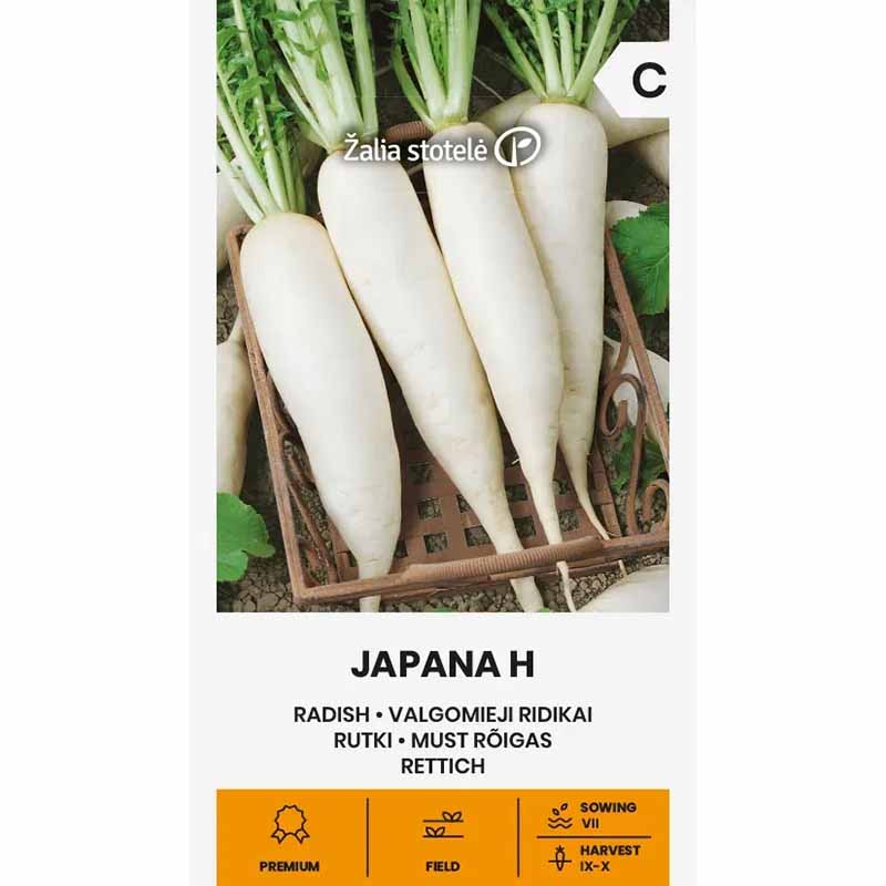 Radish 'Japana'