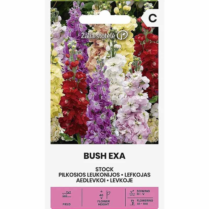Stock 'Bush Exa'