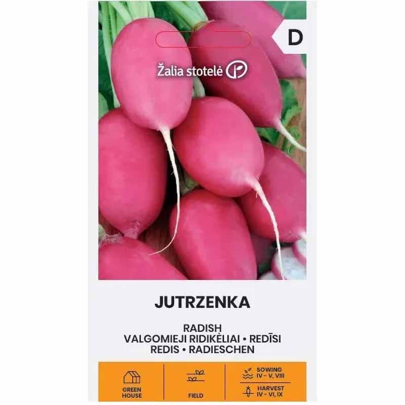 Radish 'Jutrezenka'