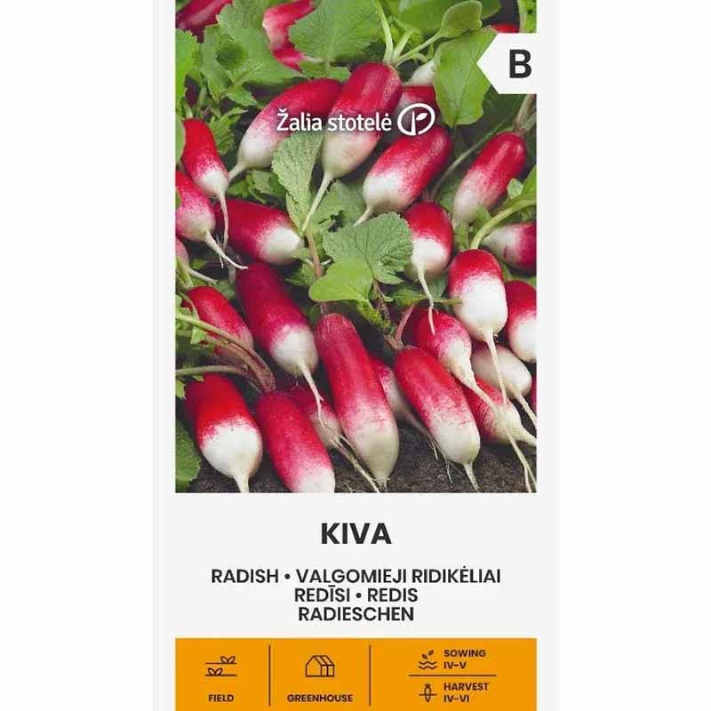 Radish 'Kiva'