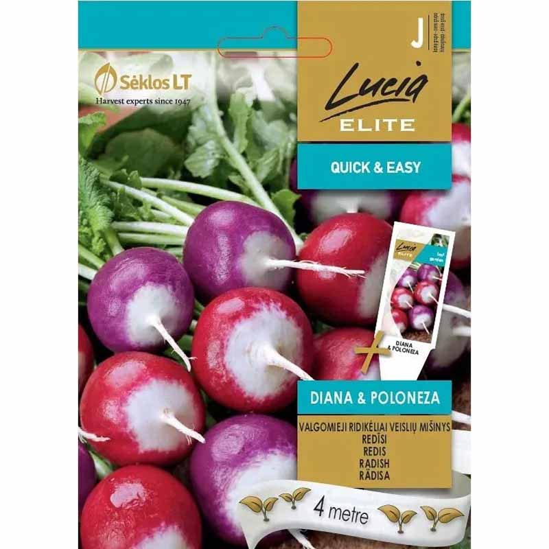Radish 'Diana & Poloneza'