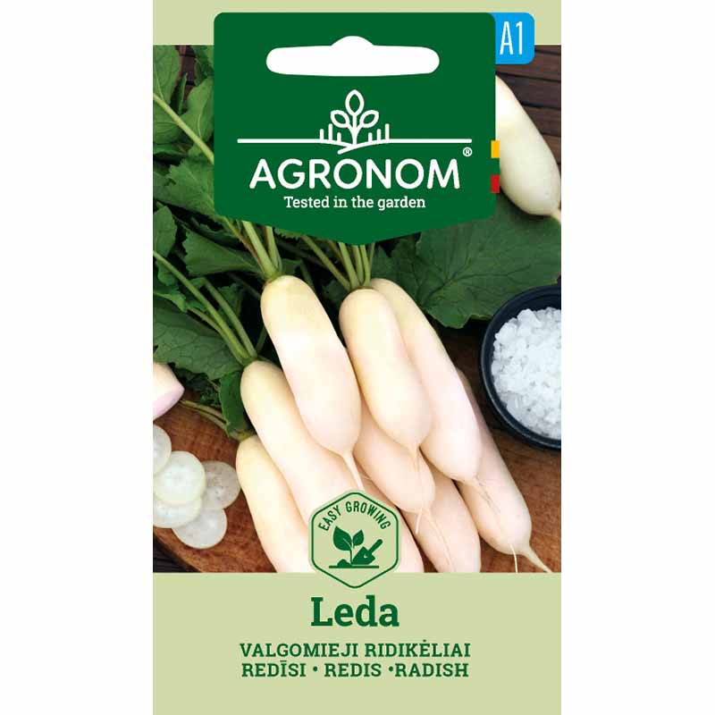 Radish 'Leda'