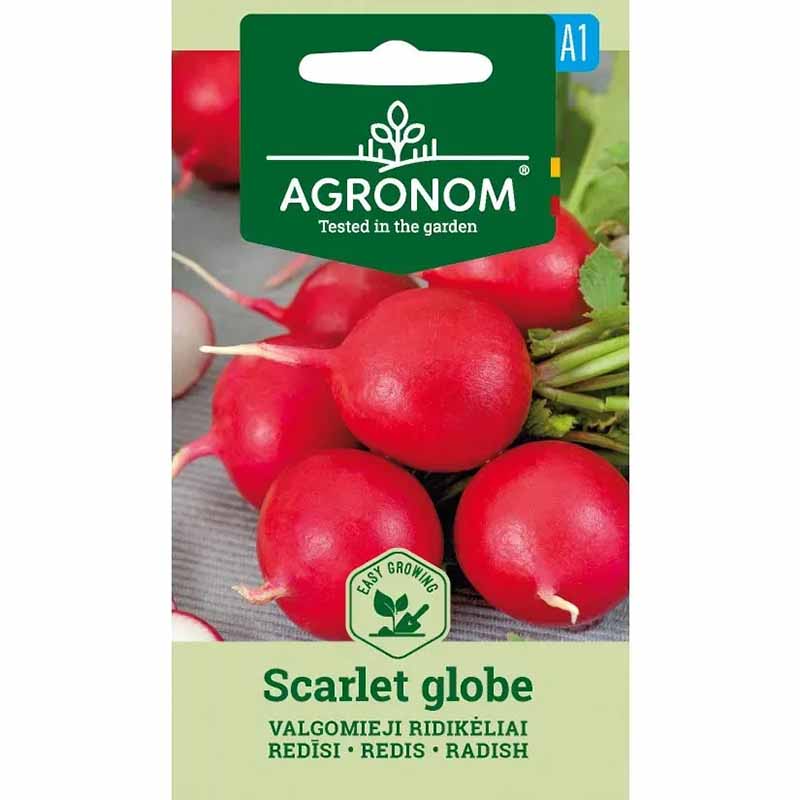 Radish 'Scarlet globe'